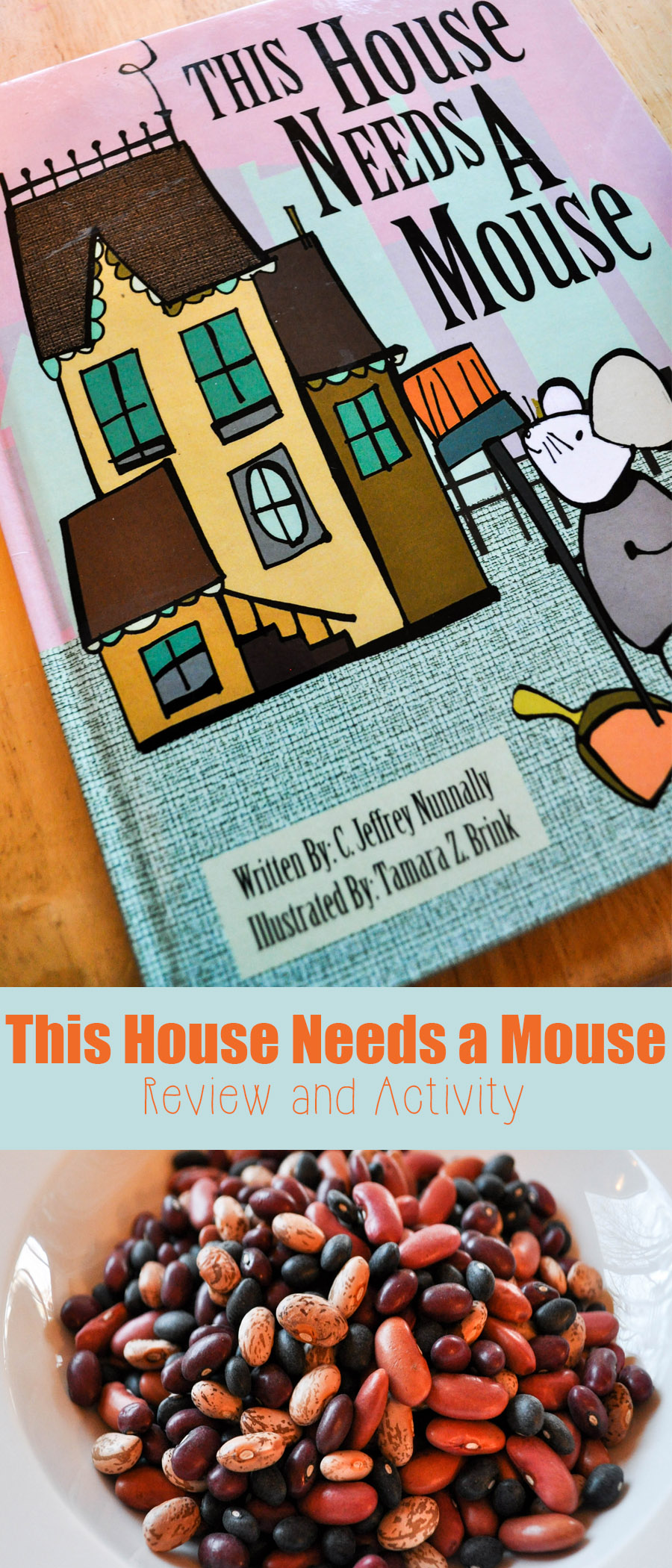 This House Needs a Mouse: Review and an Activity! - Mama Plus One