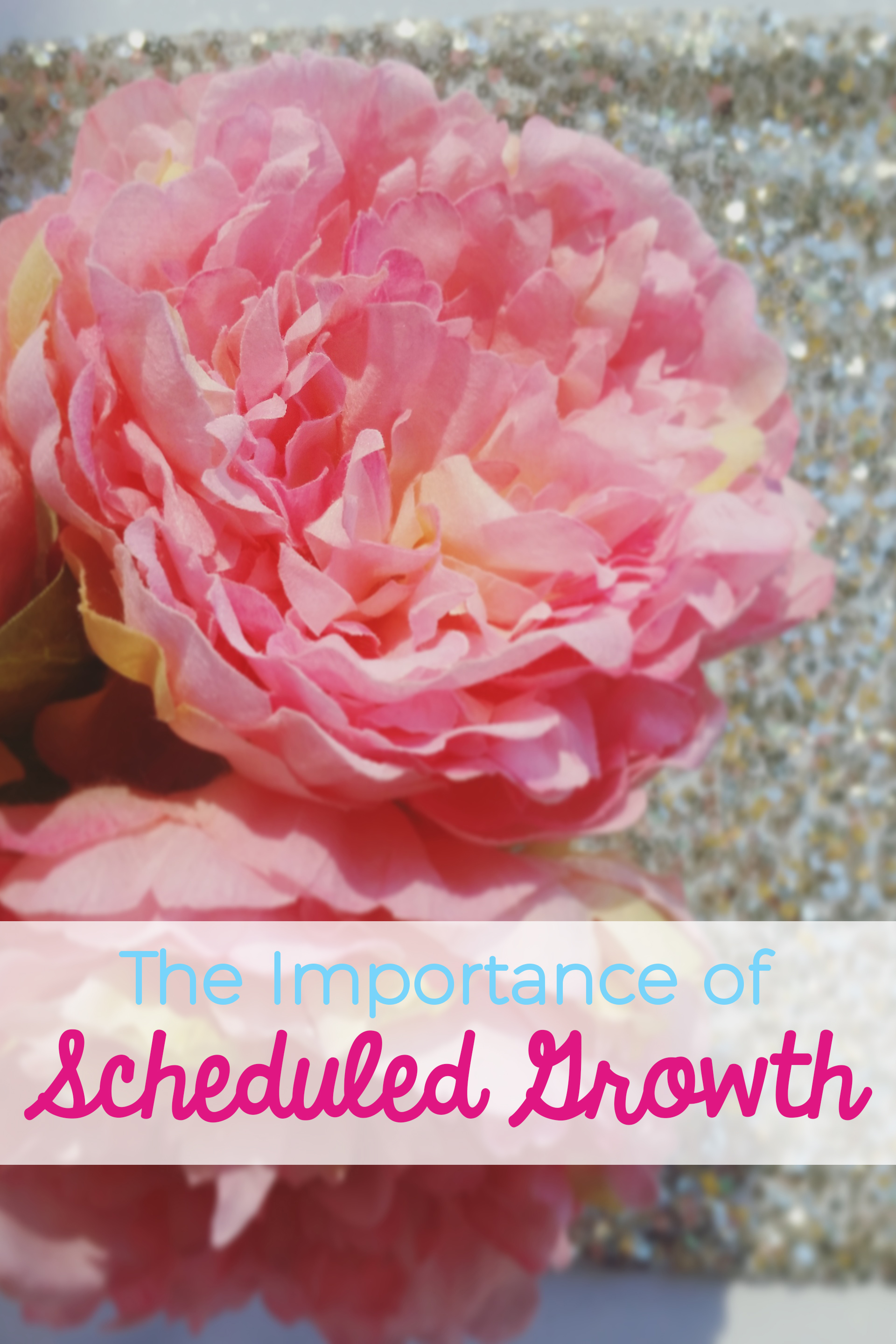 Scheduling opportunities to grow, regardless of your industry, niche, or lifestyle, is incredibly important. Here's why that time for peace, renewal, and growth is so important.
