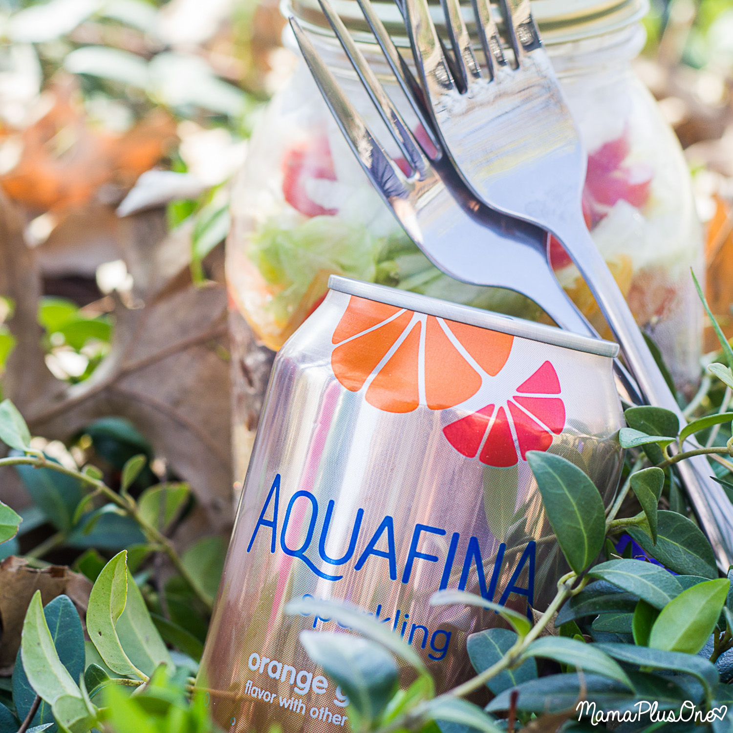 Pep up your park playdates. Instead of having boring crumbled crackers from the bottom of your hand bags, or squished PB&J, send the kids to the playground and enjoy these Fajita Burrito Bowls in a Jar with your BFF. Perfect for park playdates, and they pair great with #AquafinaSparkling [ad]