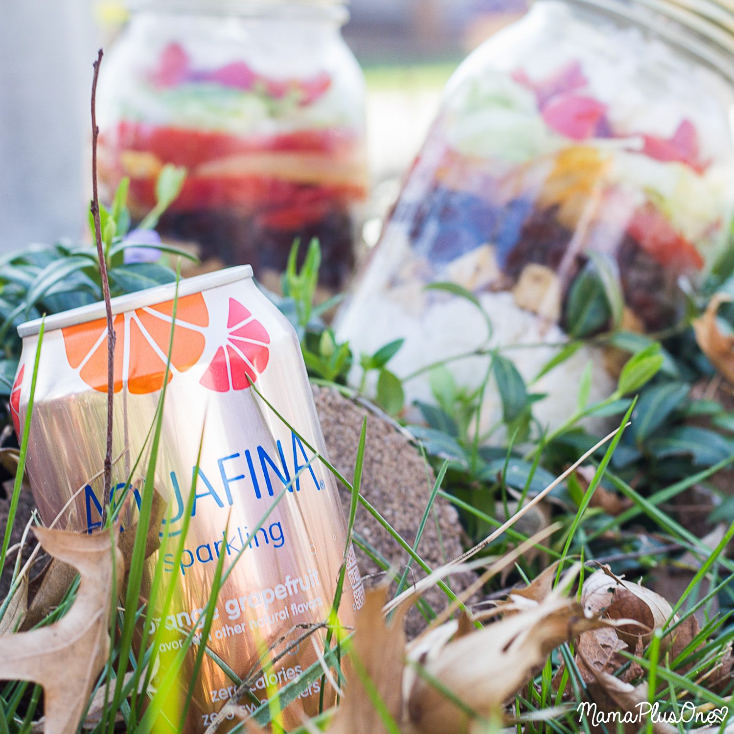 Pep up your park playdates. Instead of having boring crumbled crackers from the bottom of your hand bags, or squished PB&J, send the kids to the playground and enjoy these Fajita Burrito Bowls in a Jar with your BFF. Perfect for park playdates, and they pair great with #AquafinaSparkling [ad]