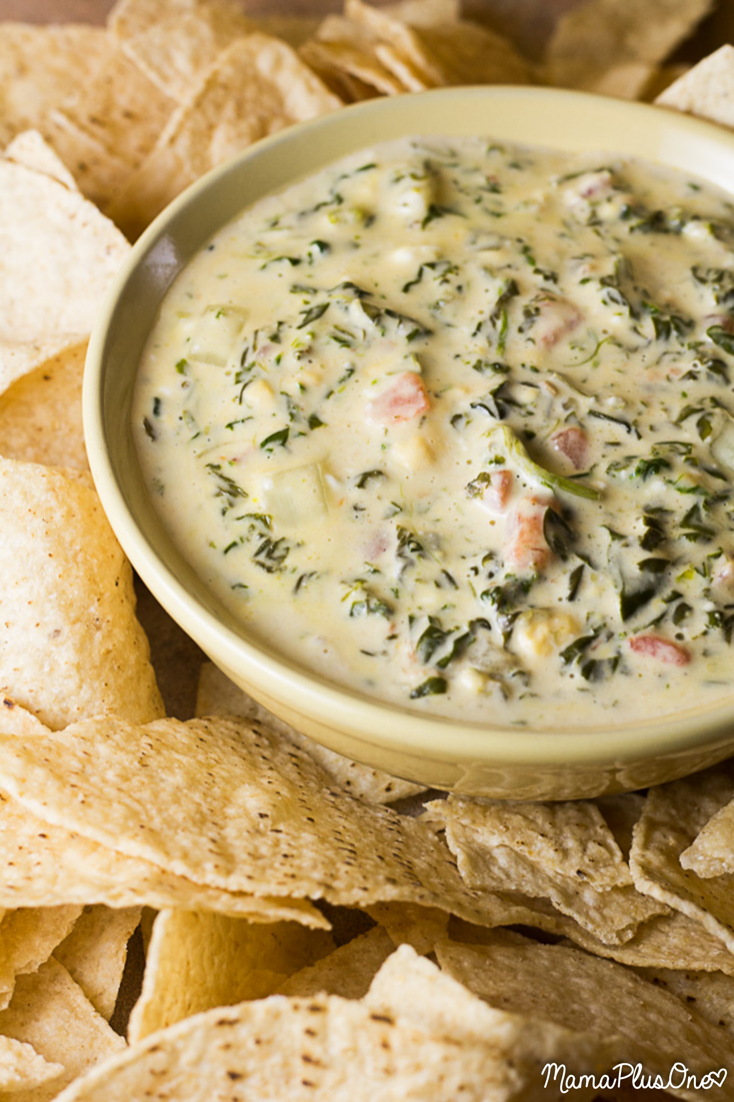 If you love spinach queso, you'll love this easy slow cooker spinach queso recipe! It tastes JUST like the Espinaca served at Jose Peppers in the Kansas City area-- a perfect copycat for the dip you love! It's easy to make, just add everything to your crock pot and it's spinach queso in no time. | dip recipe | appetizer recipe | slow cooker dip | cinco de mayo recipe | tailgating recipe | game day food |