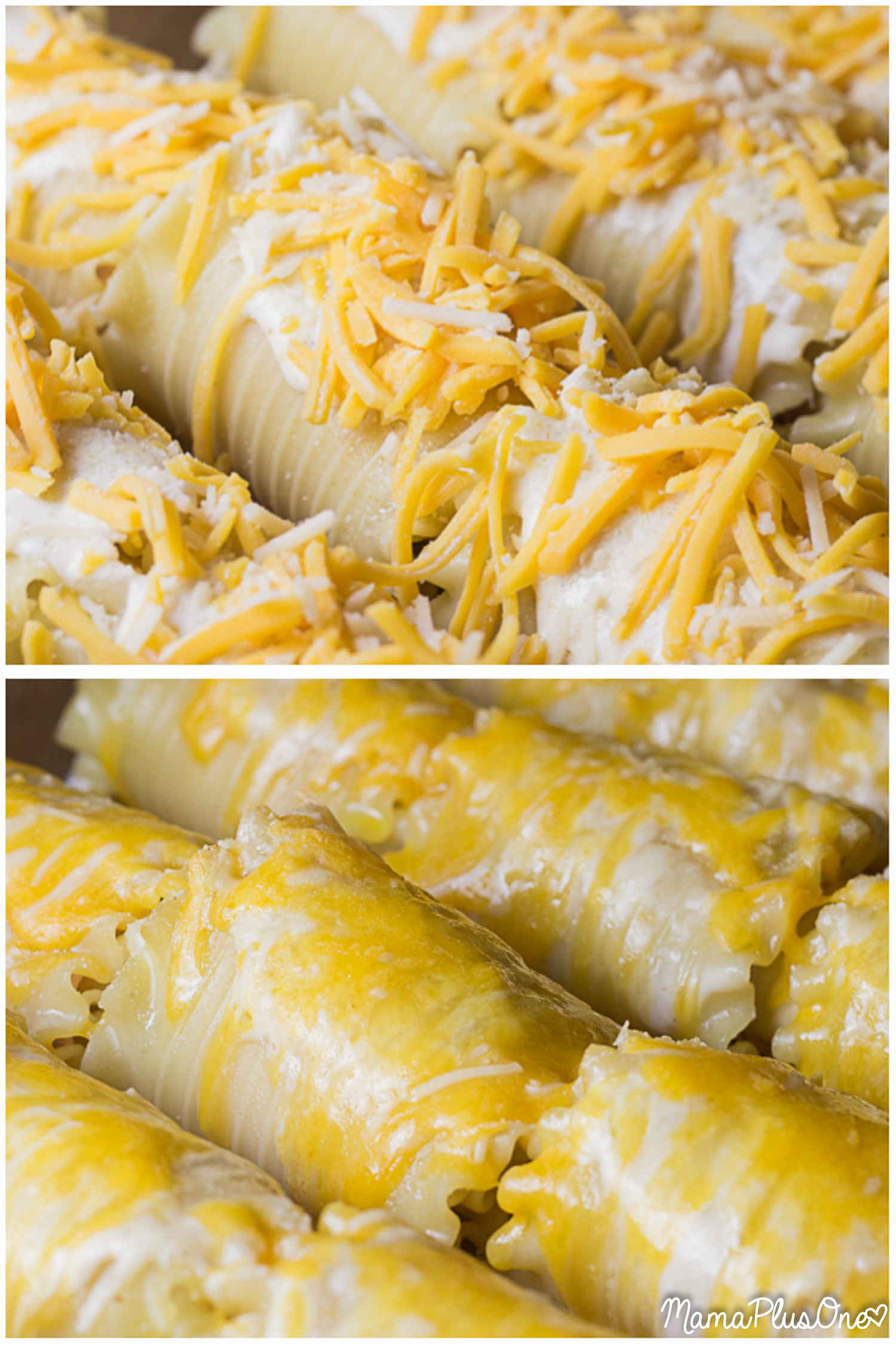 Ham and Cheese Lasagna Roll Ups are the perfect choice for a weeknight meal. They're easy to make and taste delicious, pairing your favorite ham and cheese sandwich with a delicious lasagna twist. | weeknight meal | lasagna roll up | ham and cheese | easy dinner idea |