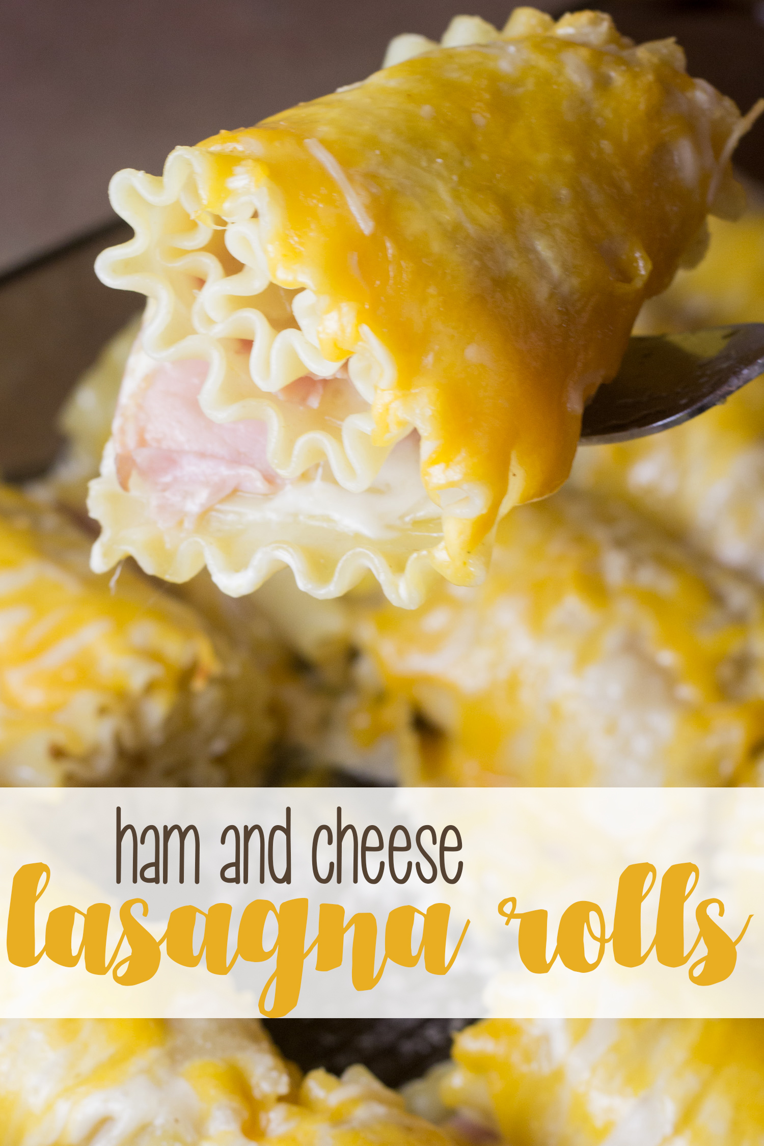 Ham and Cheese Lasagna Roll Ups are the perfect choice for a weeknight meal. They're easy to make and taste delicious, pairing your favorite ham and cheese sandwich with a delicious lasagna twist. | weeknight meal | lasagna roll up | ham and cheese | easy dinner idea |