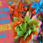 Mexican Paper Flowers