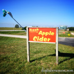 A Trip to Louisburg Cider Mill