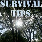 Summer Survival Tips (And a Survive Monthly Giveaway!)