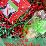 How To Mail Christmas Cookies (Without Using Packing Peanuts)