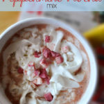 Easy Powdered Peppermint Mocha Mix