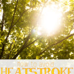 Tips for Avoiding Heat Stroke (With Water Infusion Recipes)!