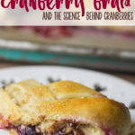 Chocolate Cranberry Braid (and the Science of Cranberry Sauce!)